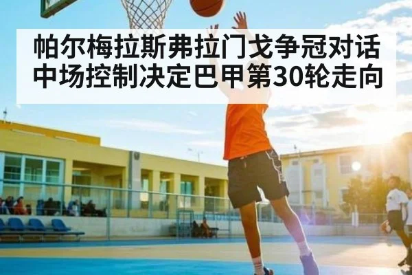 帕尔梅拉斯弗拉门戈争冠对话中场控制决定巴甲第30轮走向